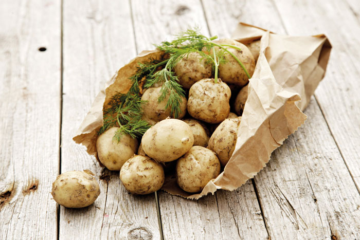 suomi deittipalvelu poppers kauppa kokemuksia suomi deittipalvelu poppers kauppa kokemuksia