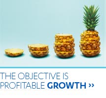 The objective is profitable growth