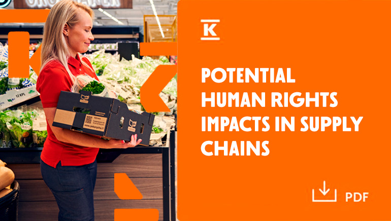 Human rights impacts in supply chains (1).jpg