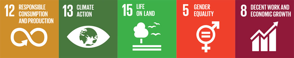 SDG-en-970-px.jpg